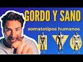 GORDO Y SANO ES POSIBLE Somatotipos Humanos