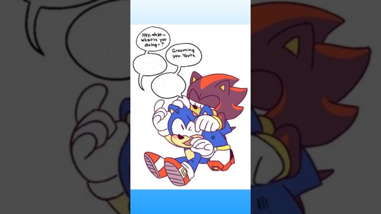 Sonic NEEDS to be Groomed 😊 | Sonadow Comic Dub