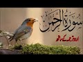 Surah Rahman Urdu Tarjuma K Sath Qari Al Sheikh Abdul Basit Abdul Samad