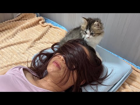 YouTube 썸네일