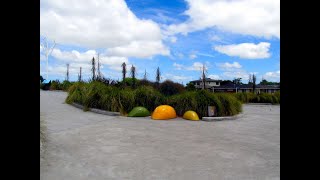 The Esplanade, Palmerston Nth