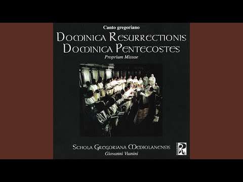 Alleluja II - Veni Sancte Spiritus (II modo)