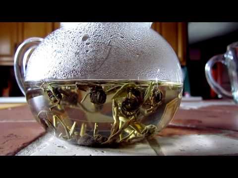 download lagu mp3 mp4 Jasmine Tea Balls, download lagu Jasmine Tea Balls gratis, unduh video klip Jasmine Tea Balls