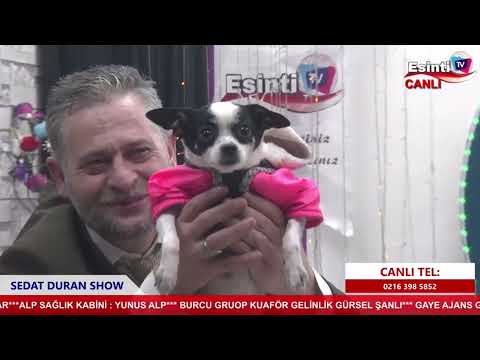 AYSEL IŞIK BÜTÜN YALANCI YEMİNLER SENİN