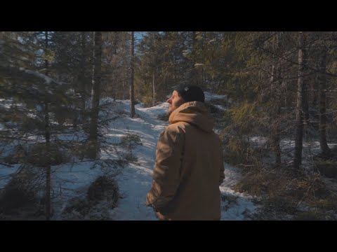 No Fortunate Son - Into The Forest (Official Video)