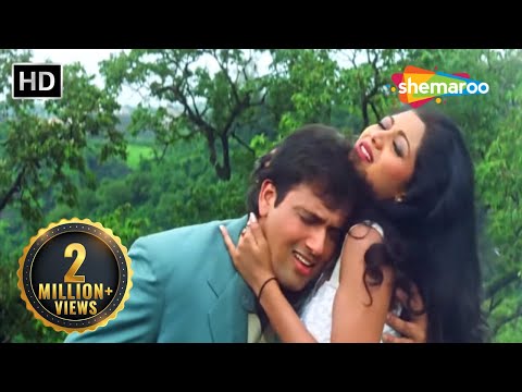 Socho Na Jara Yeh Socho | Chhote Sarkar (1996) | Govinda | Shilpa Shetty | 90's Hit Hindi Song