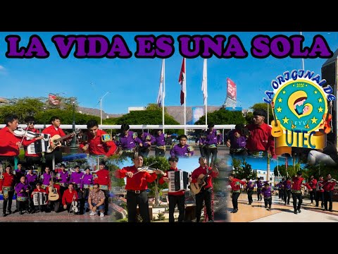 Cuadrilla De Negritos De Zapateo👞 "La Original De Utec"🎻🎸 - Tema: La Vida Es Una Sola (Video Ofical)