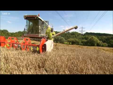 Von der Saat zur Ernte