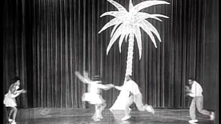 The Four Congaroos in Killer Diller