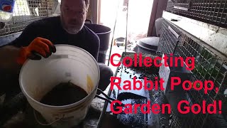 Raising Meat Rabbits:. Collecting urine for the garden