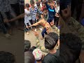 Indore Muharram Sher Mowgli
