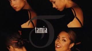 Tamia Falling For You (1999 Radio Edit)