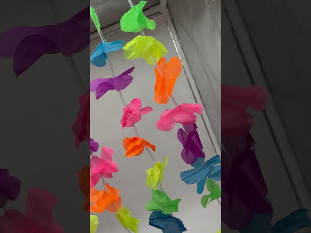 Vídeo relacionado con PLABBDPL Juego de 16 piezas Decoración Hawaiana Leis, Collar de Flores Hawaianas, Pulseras, Diadema, unisex, para Fiesta Tropical, en la Playa, Bar Nocturno, Vacaciones en la Playa