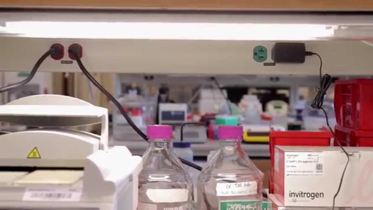 Measurement, Plug Loads and Freezers