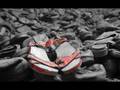 Schindler's List Theme - John Williams 
