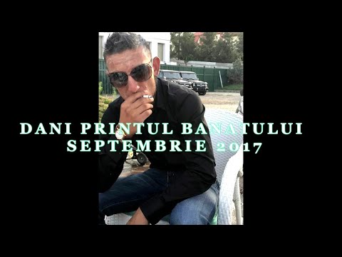 DANI PRINTUL BANATULUI - LOVESTE TARE  | Official Audio
