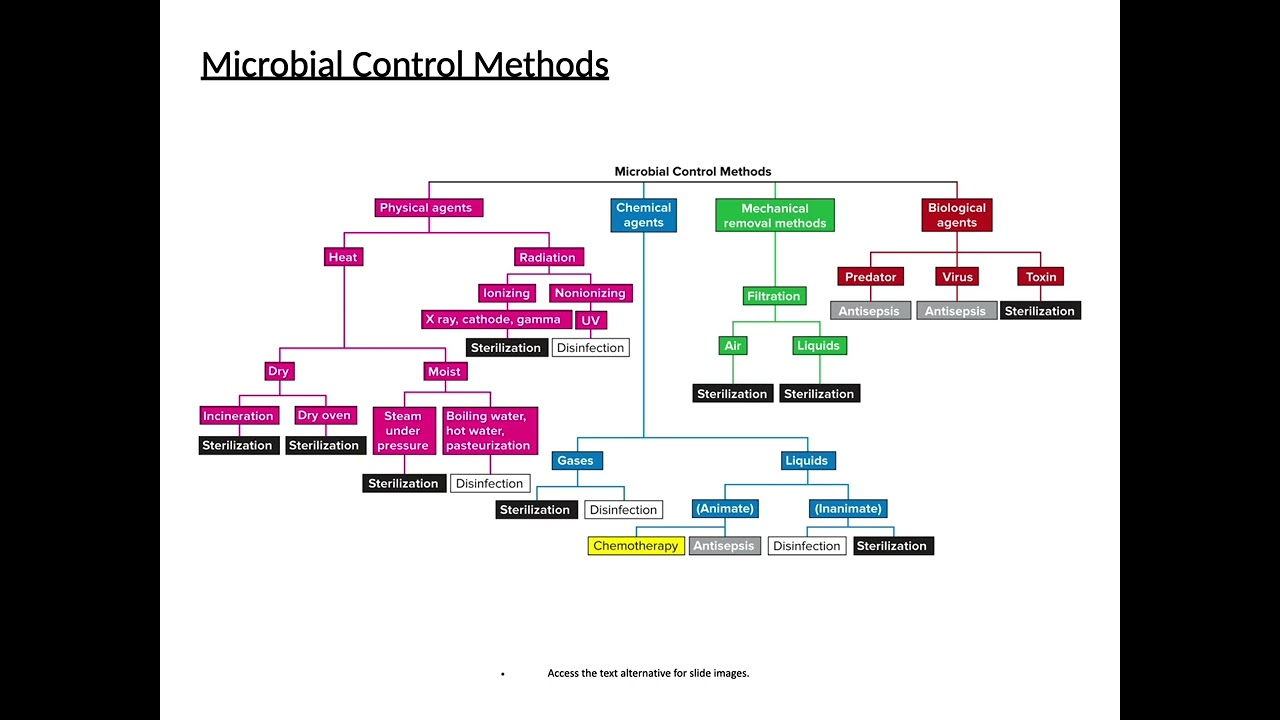 Micro Controlling Microbial Growth