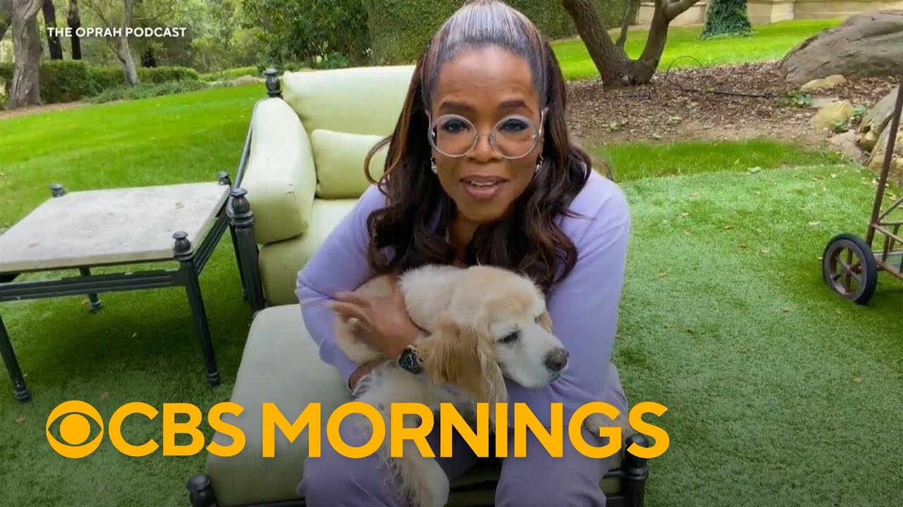 New miniseries highlights bond between dogs and their owners