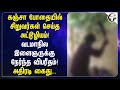கஞ்சா போதையில் சிறுவர்கள் செய்த அட்ட