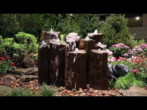 Project Showcase: 2017 Chicago Flower & Garden Show