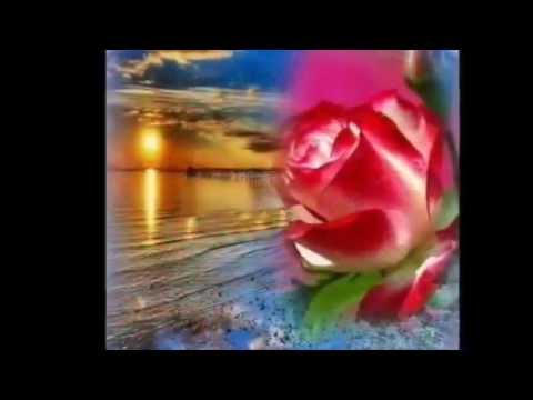 Ciro De Luca - Trandafiri rosii ( Le rose rosse)