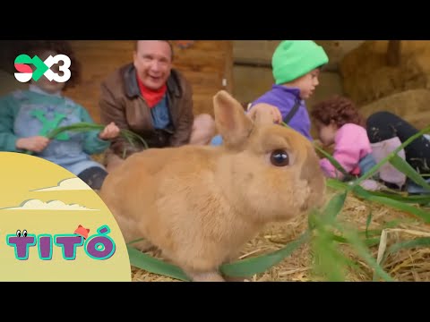 Excursió amb els guanyadors del Carnestoltes | Titó