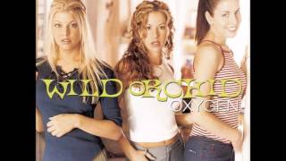 Wild Orchid- Holding On