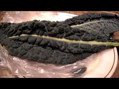 download lagu mp3 mp4 Black Tuscan Palm Tree Kale, download lagu Black Tuscan Palm Tree Kale gratis, unduh video klip Black Tuscan Palm Tree Kale