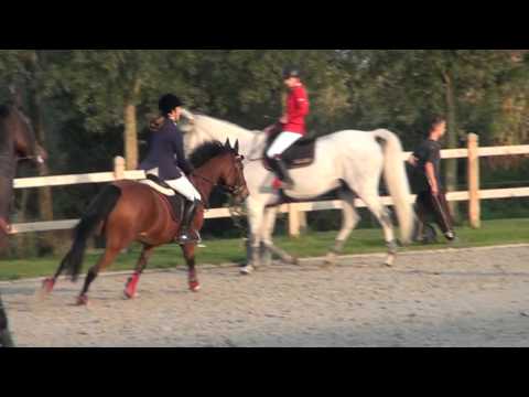 1M 6de plaats (machno carwyn x godess greenfield)