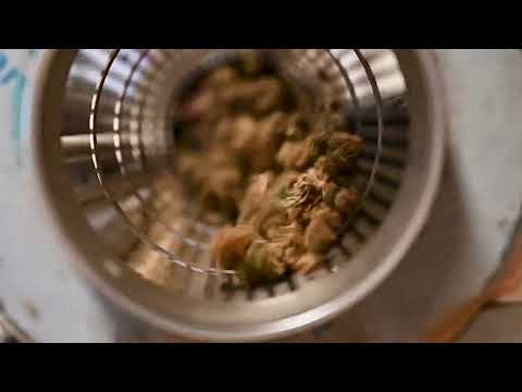 Cannabis — Part 1