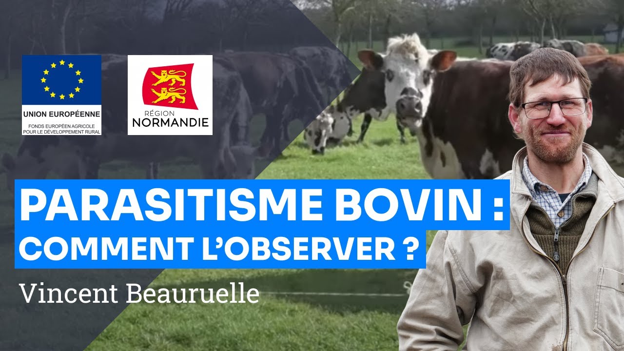 Gestion du parasitisme bovin : méthode d’observation, préventif et curatif, V. Bauruelle
