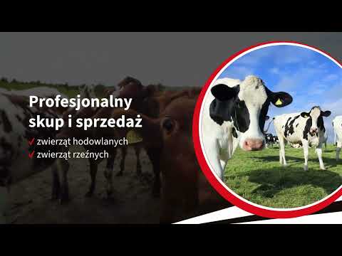 Fhu Zamora Szymon Zamora - video