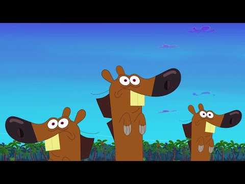 ZIG AND SHARKO | ZIG ON ALERT! (SEASON 2) New episodes | Cartoon Collection for kids