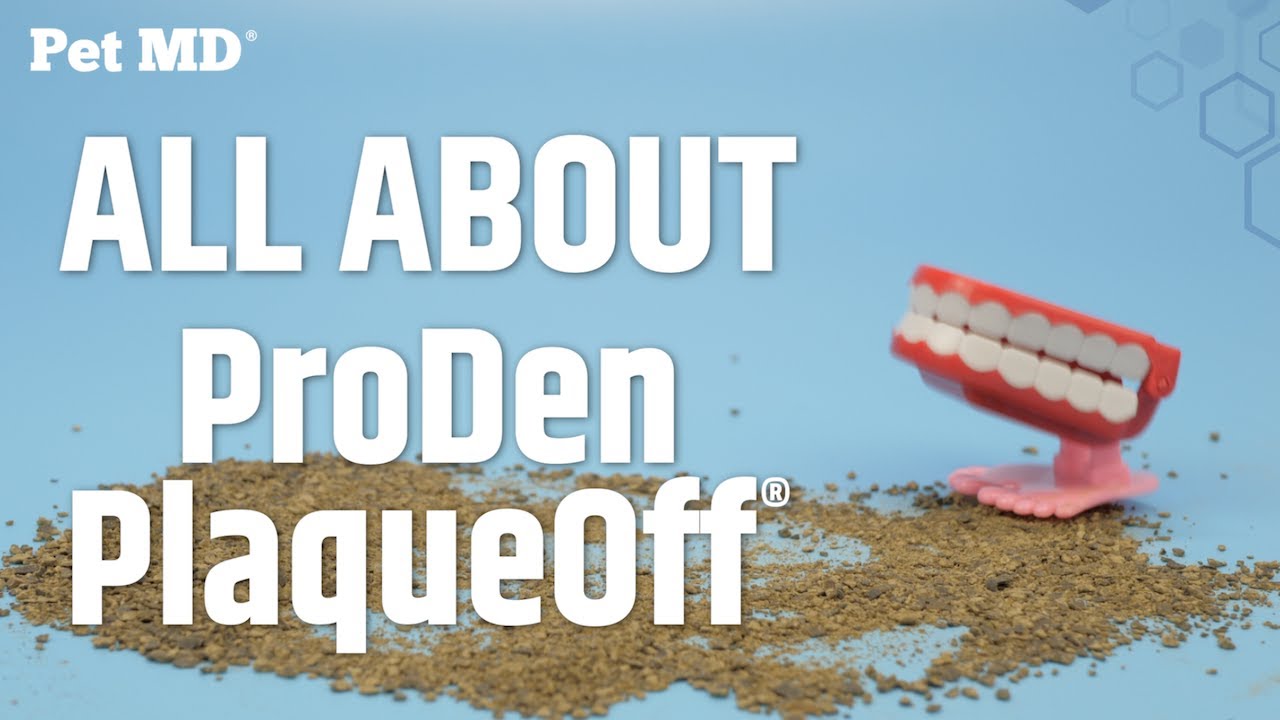 Watch video What is in Pet MD Dental Care ProDen PlaqueOff Now What is in Pet MD Dental Care ProDen PlaqueOff