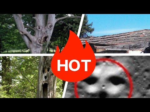 The Scariest Pareidolia Photos From The Internet ➊