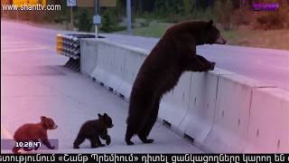 Առավոտը Շանթում/Aravot Shantum 09.06.2020