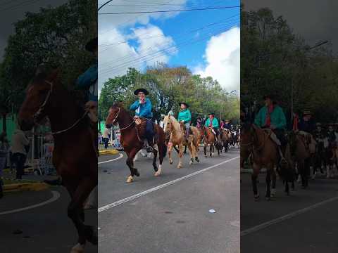 🇧🇷 Piquete Sinuelo da Divisa no Desfile de 7 de Setembro | Fazenda Vilanova/RS 🐎