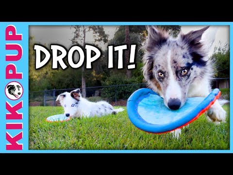 What is Clicker Training