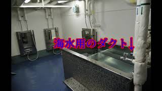 柊さんのラジオ　ラギラジ！【海自のお風呂】