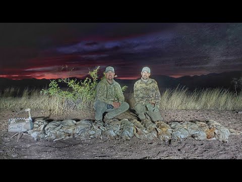 5 Dead Coyotes on 1 Stand and a Crazy 14 Coyote Day! - The Last Stand S4E3