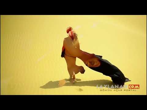 Firyuza  - Chez Bady . Täze klip 2018.