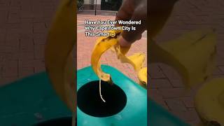 🇿🇦Cape Town: The City won't go wrong with this much care.#travel