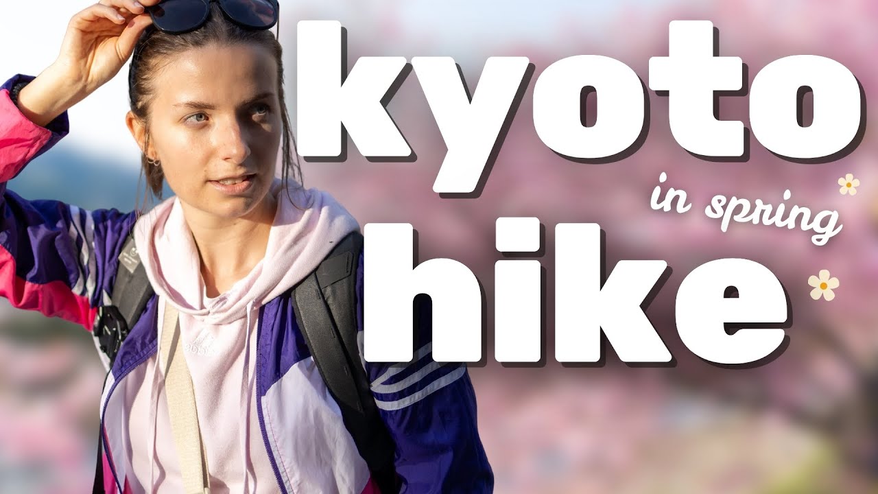 Dive into hiking adventure to Mount Kurama as a tourist.