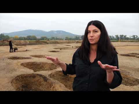 Archeologický výzkum největšího langobardského pohřebiště ve střední Evropě - Mušov-Roviny.