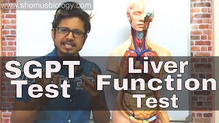 Watch video SGPT blood test in Hindi Now SGPT blood test in Hindi
