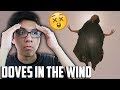 SZA - Doves In The Wind (Official Video) ft. Kendrick Lamar I REACTION! SZA - Doves In The Wind (Official Video) ft. Kendrick Lamar I REACTION!