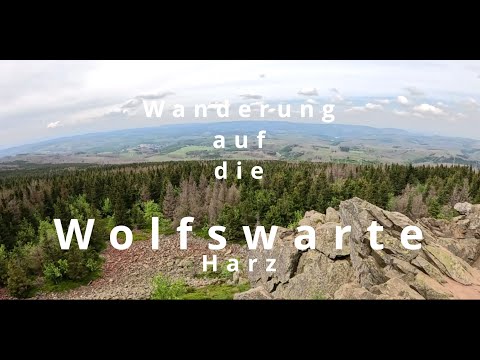 Wanderung auf die Wolfswarte im Harz | HWN 135 | Aussichtspunkt und Gipfel | schöne Rundwanderung 🚶🥾