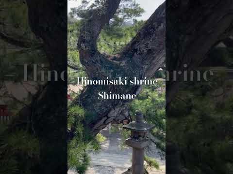 コンテンポラリー-テラス-ホワイト-ソファ-装飾-クッション-サスペンション