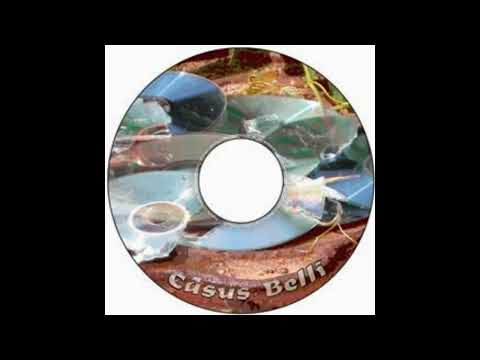 Casus Belli - Vae Victis (1994-1996)