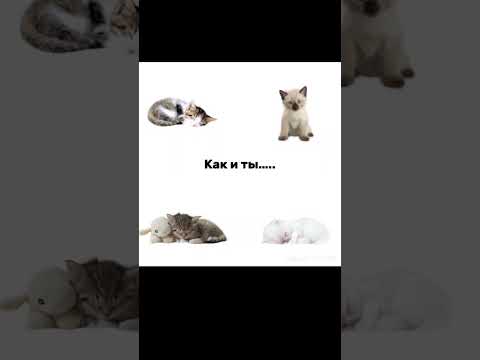 28 июля 2025 г.